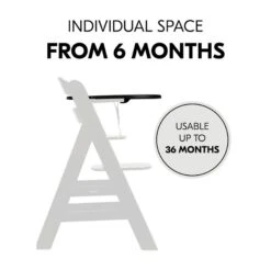 Hauck Alpha Click Tray Esstablett -Baby Online Shop 4007923661642.pt04.alpha click tray black