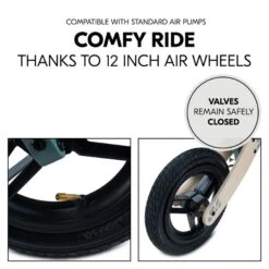 Hauck Balance N Ride Laufrad Turtle -Baby Online Shop 4894352813151.pt04.balance n ride turtle